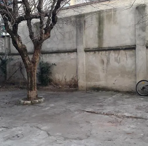 Apartman Casa Alce *
